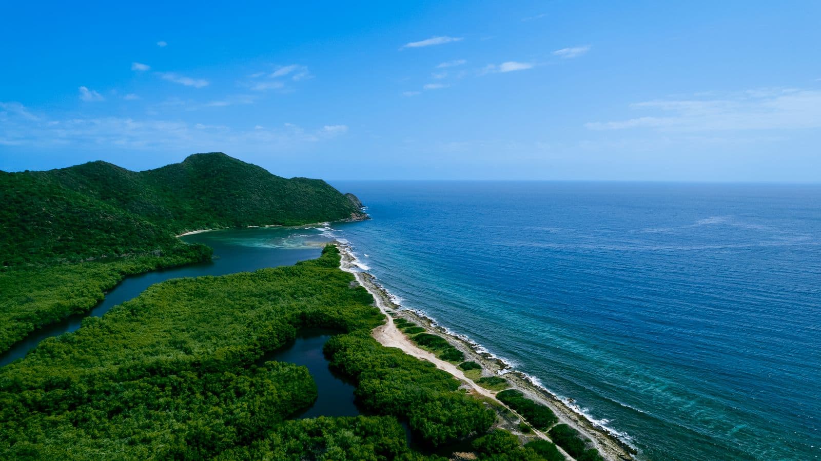 Aerial view of a Caribbean coastline and turquoise sea